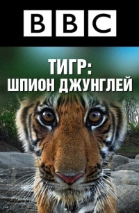 ВВс: Тигр — Шпион джунглей
